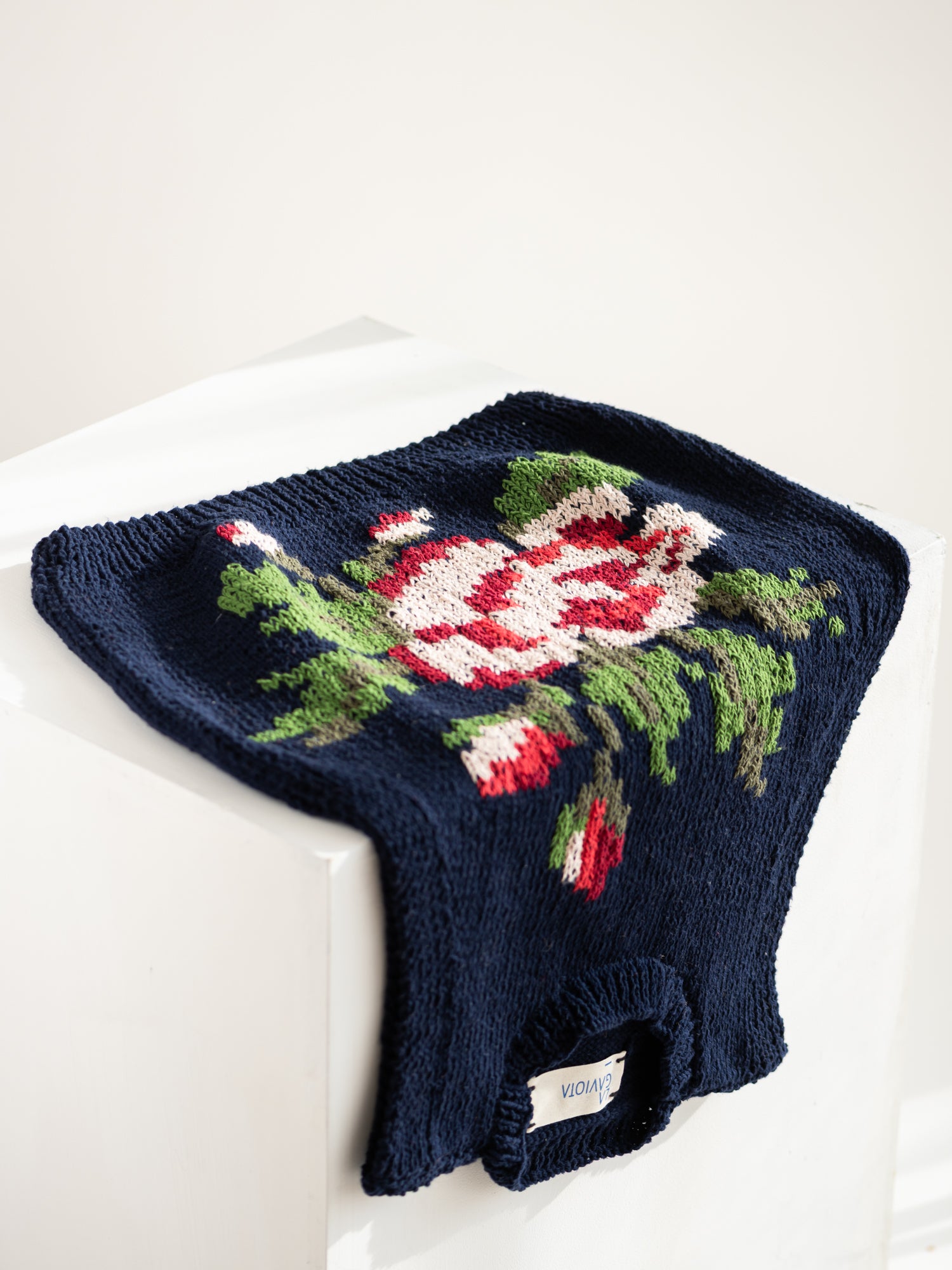 Sweater _ Rosa